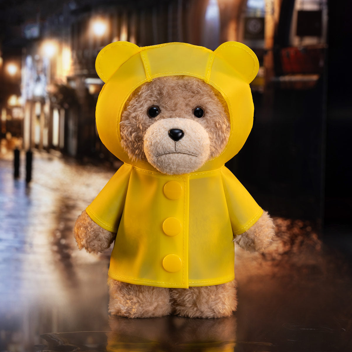 Ted2 Teddy Bear Action – Raincoat Bear