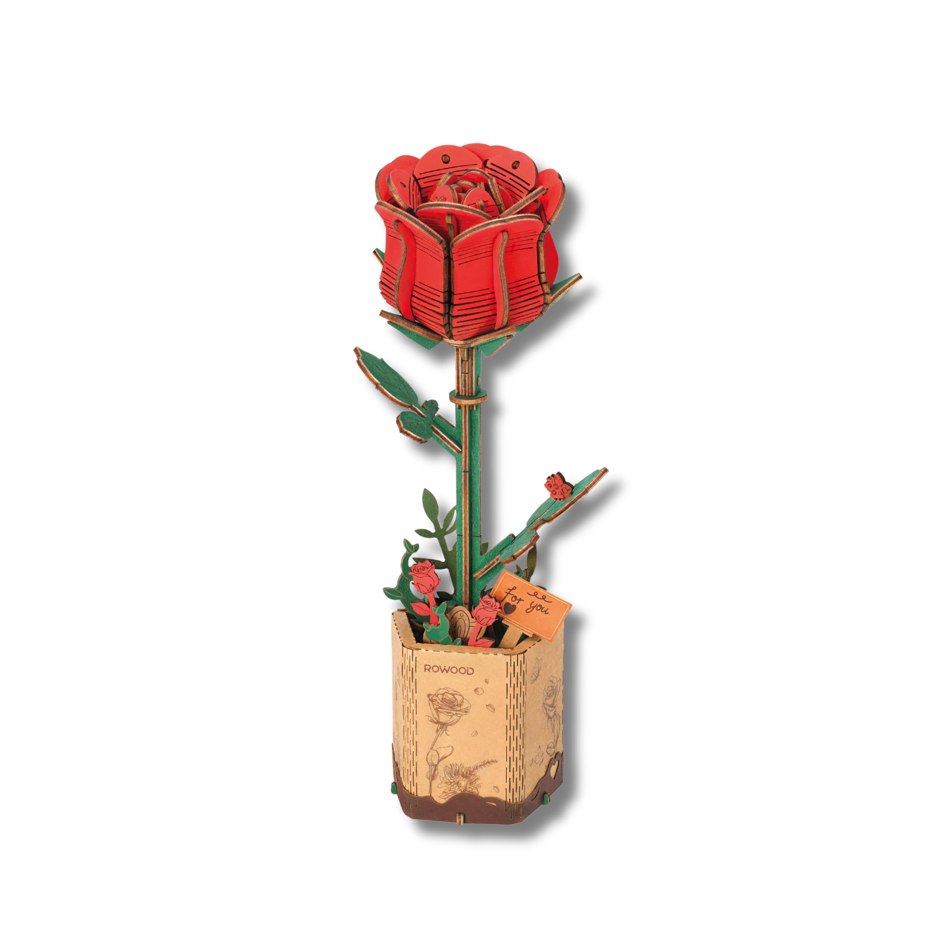 Rowood Red Rose Czerwona Róża