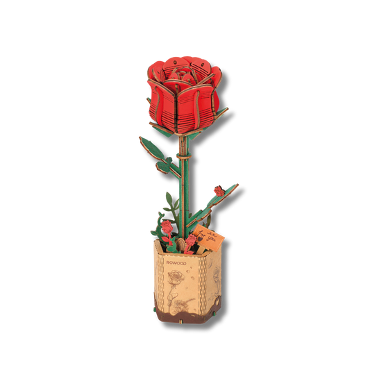 Rowood Red Rose Czerwona Róża