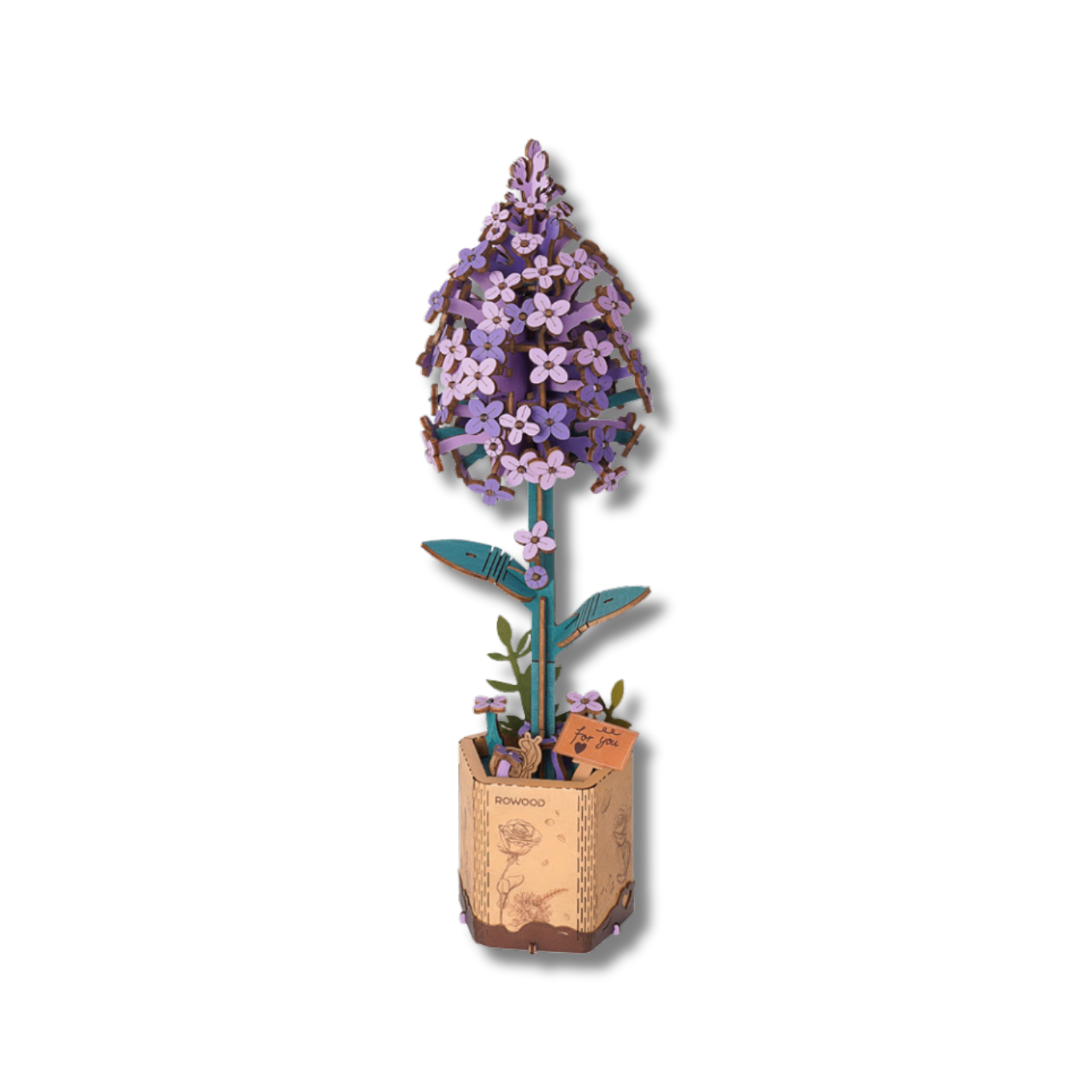 Rowood Lilac