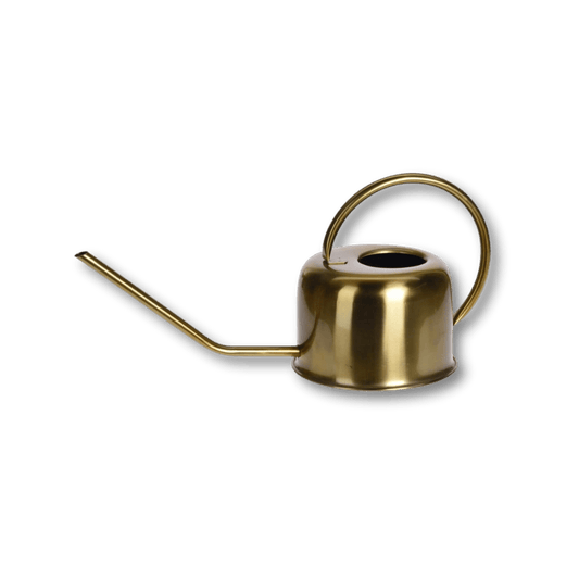 Excellent Houseware - Konewka Ozdobna | Złota Stal Nierdzewna - KICKOMI