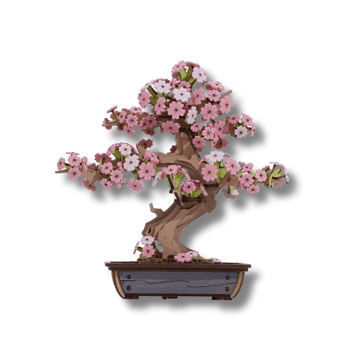 ROBOTIME - Rolife Sakura Bonsai - KICKOMI