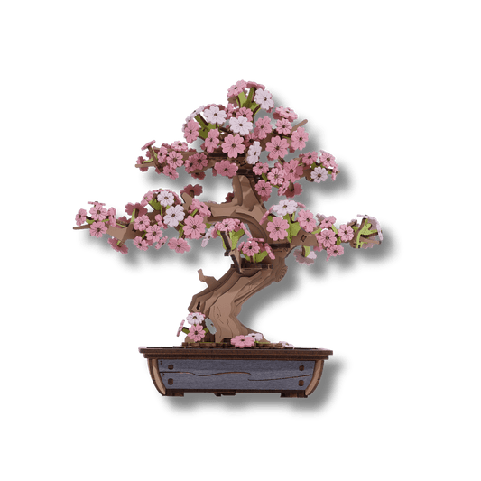 ROBOTIME - Rolife Sakura Bonsai - KICKOMI