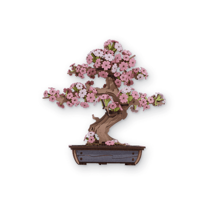 ROBOTIME - Rolife Sakura Bonsai - KICKOMI