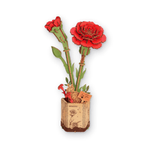 Red Carnation