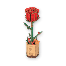 Red Rose